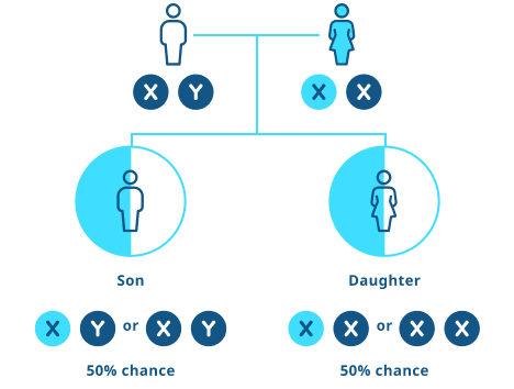 Diagram showing X-linked inheritance when a mother has XLH and the father does not. Both sons and daughters have a 50% chance of inheriting XLH